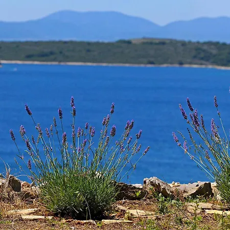 Avelini-3 Apartman Hvar Town
